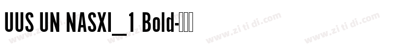 UUS UN NASXI_1 Bold字体转换